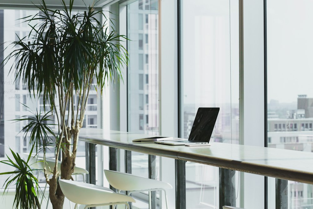 Australian Corporate Business Workspace and Search Analytics